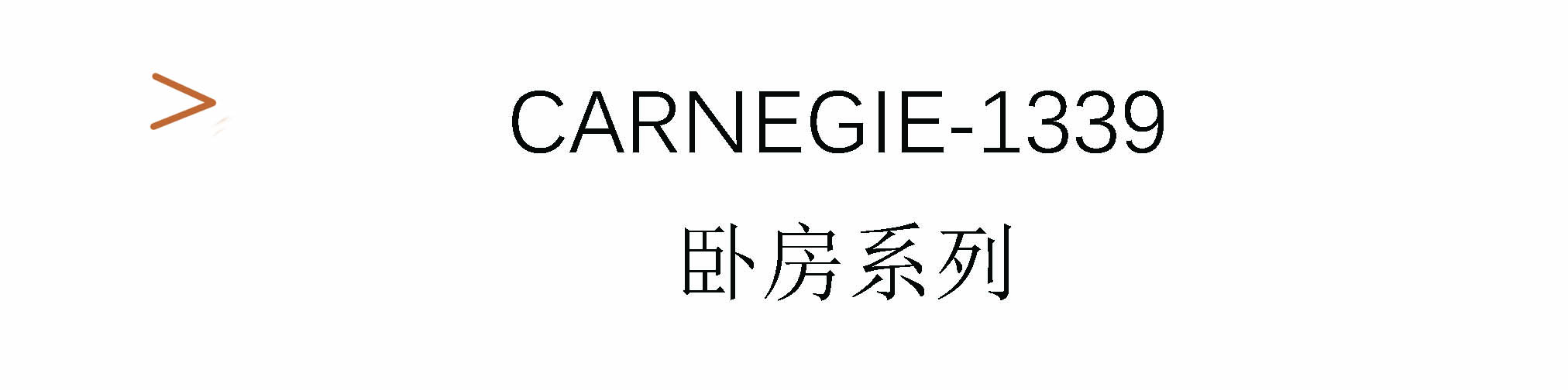 Carnegie-1339