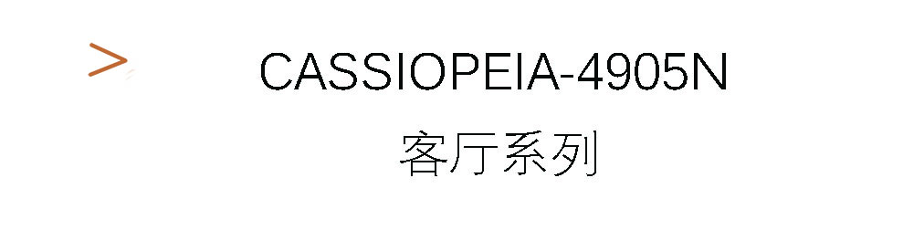 Cassiopeia-4905N